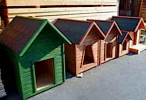 İzmir ahşap köpek kulübesi